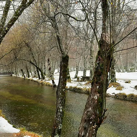 Casa Da Serra - T1 - דירה