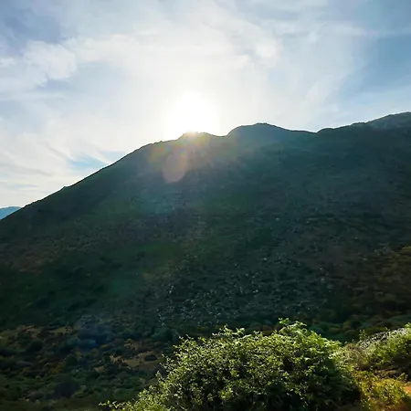 Casa Da Serra - T1 - דירה