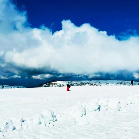 Casa Da Serra - T1 - Appartamento Penhas da Saúde