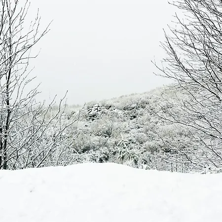 Casa Da Serra - T1 -