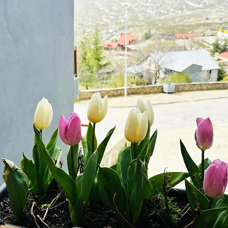 Appartamento Casa Da Serra - T1 -