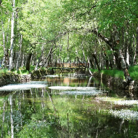 Casa Da Serra - T1 - Appartamento Penhas da Saúde