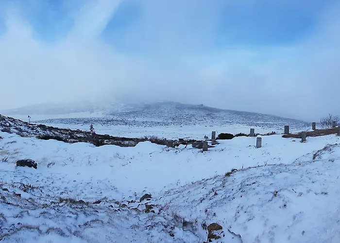 Casa Da Serra - T1 -