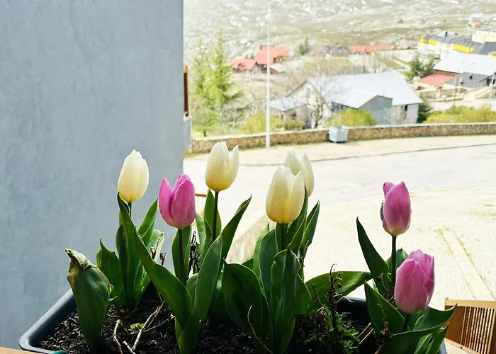 公寓 Casa Da Serra - T1 -